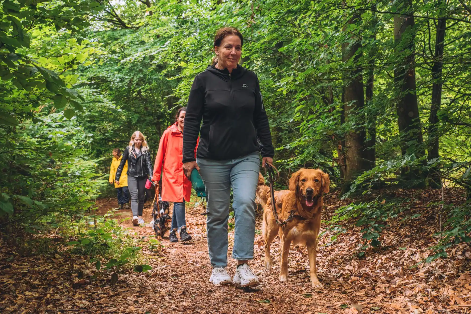 Kerstin Ehses geht mit einem Golden Retriever auf einem Waldweg; weitere Menschen und Hunde folgen.