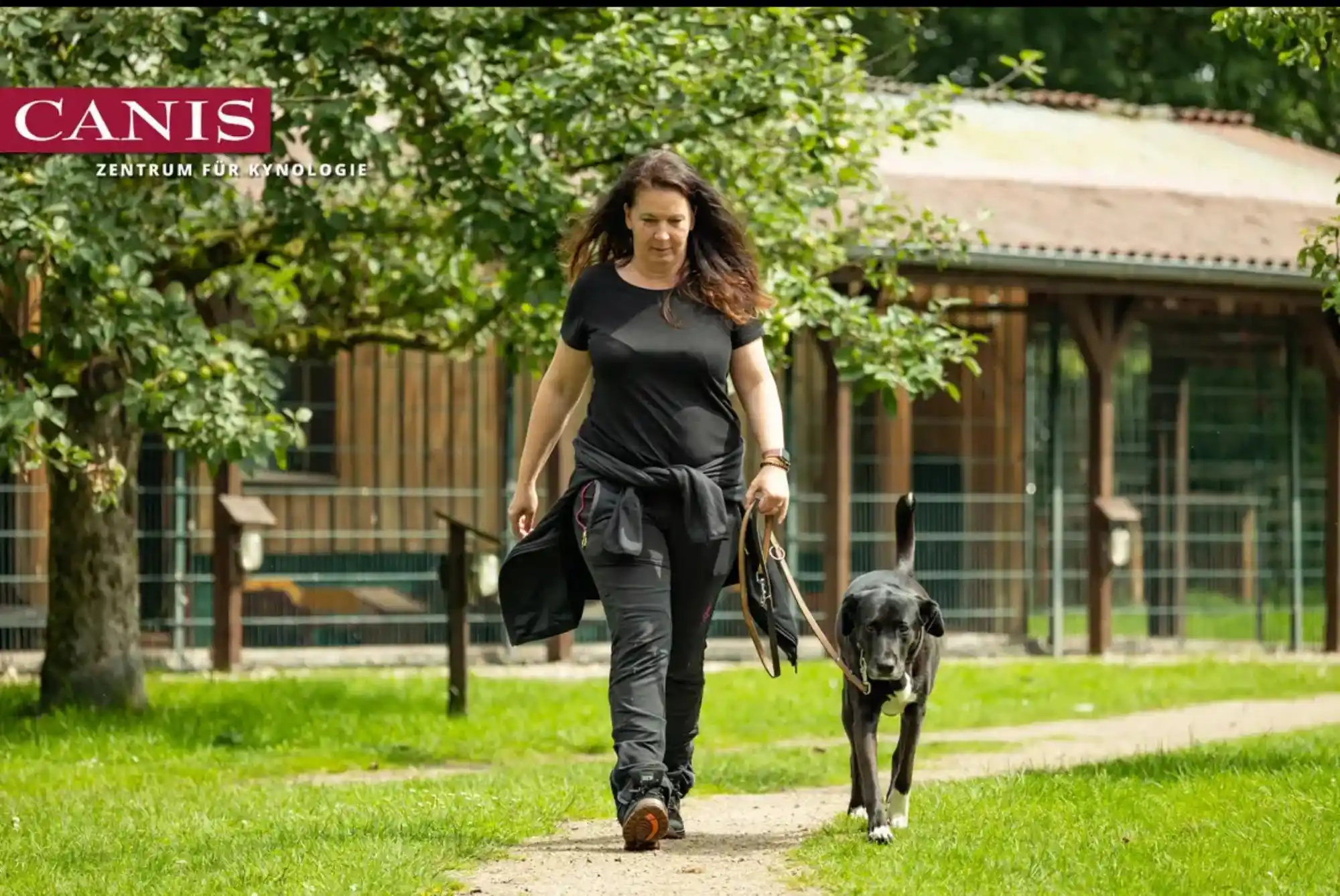 Eine Frau und ein großer schwarzer Hund gehen nebeneinander auf einem Weg über eine Wiese; oben links steht das CANIS-Logo.