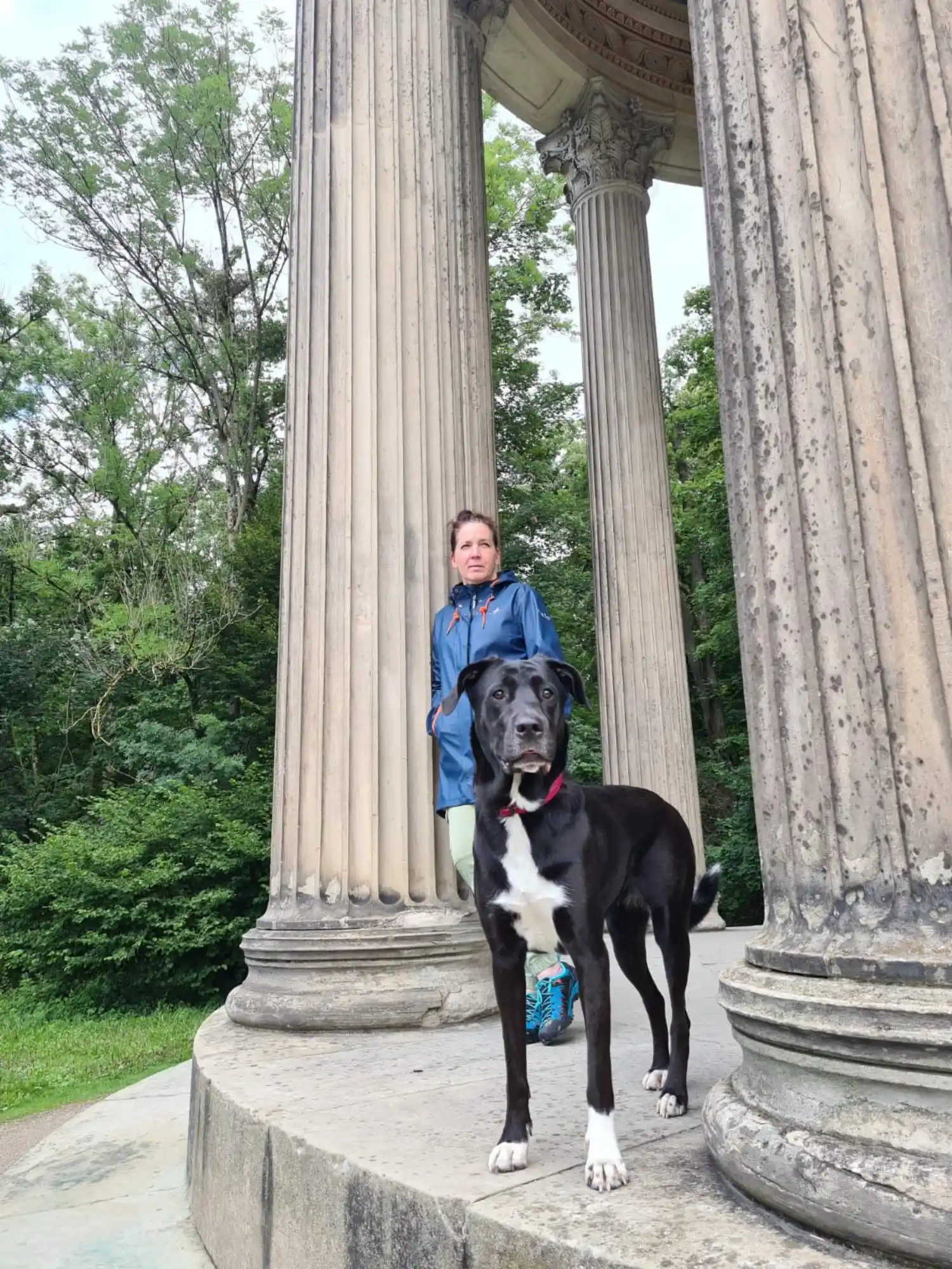 Ein großer schwarzer Hund mit weißer Brust steht zwischen hohen Steinsäulen; dahinter steht eine Frau in blauer Jacke.